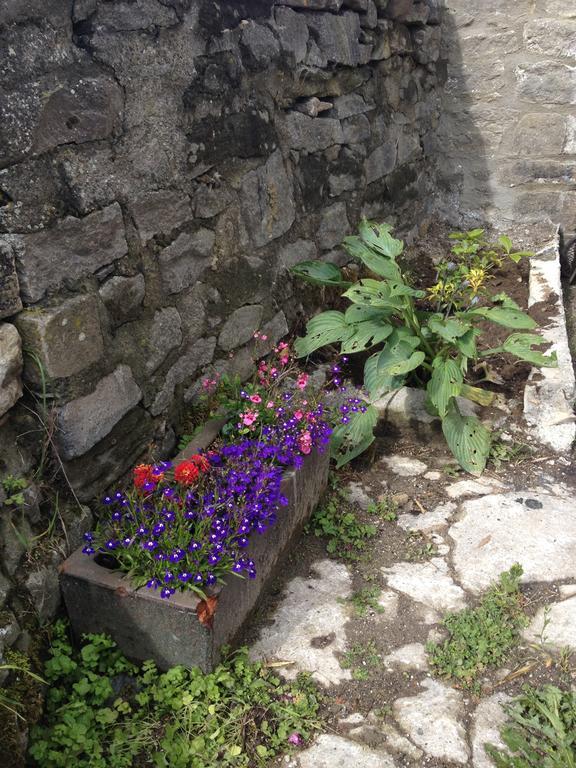 레이번 Curlew Barn B&B 외부 사진