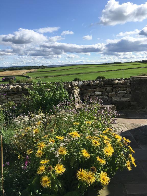 레이번 Curlew Barn B&B 외부 사진